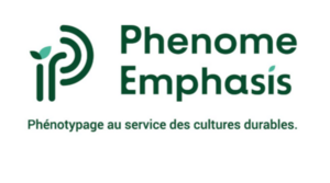 log PheEmph