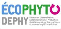 logo dephy