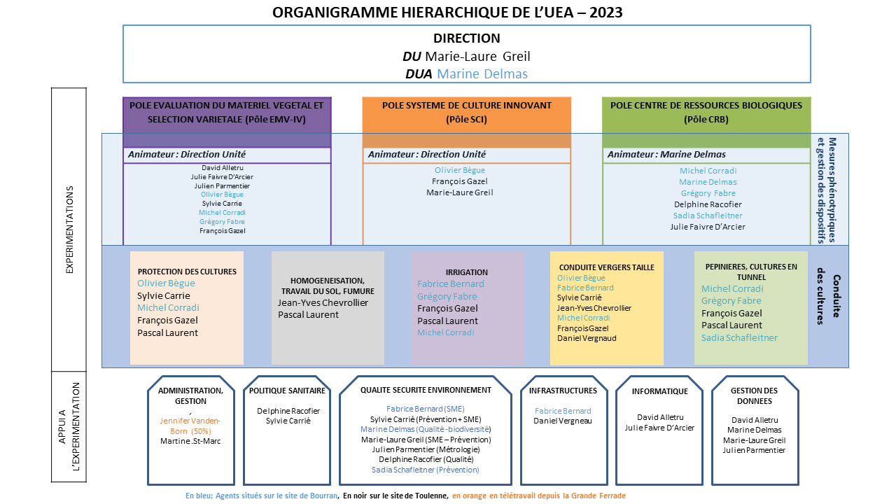 Organigramme UEA 2023